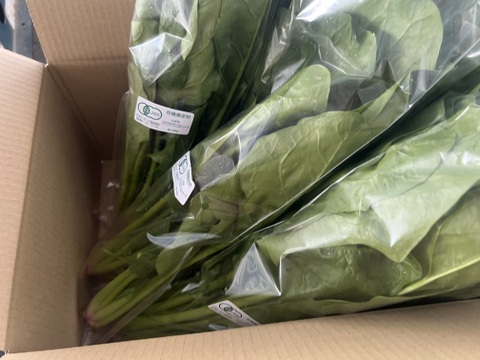 【有機JAS認証】ほうれん草 たっぷり3kg