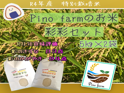 R4年産　Pino farmのお米　彩彩セット　【５㎏×２種】