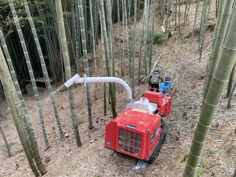 朝採りタケノコはいかがでしょうか？2kg