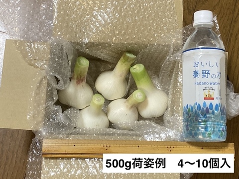 新鮮！【新ニンニク】500g；農薬、化学肥料不使用