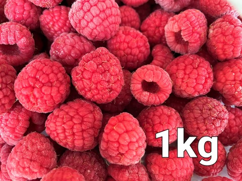 【高級ジャム店にも納品】冷凍ラズベリー（ホール）1㎏【国産ラズベリー】【秋田県産ラズベリー】