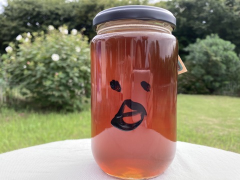 初秋のハチミツさん　450g