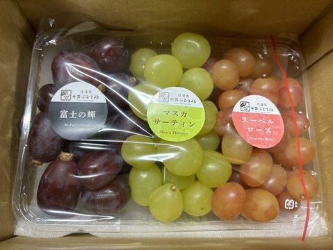 ☆３種ぶどう粒セット　１kgパック　☆９月上旬から１０月中旬の間で発送☆