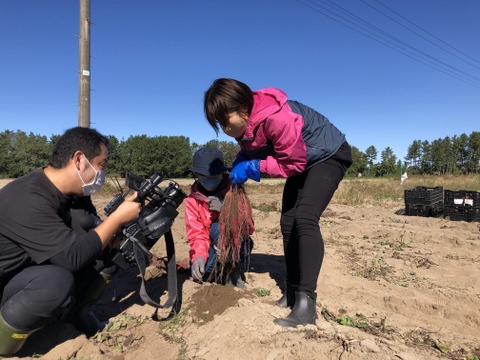 庄内平野の豊かな地下水と海からの潮風香る砂丘地で育てたさつまいも「紅はるか」　食べきりSサイズ 中心