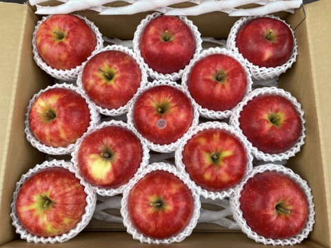 特選　ジョナゴールド　約5kg【2025年産】