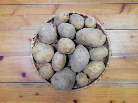 ジャガイモ(ニシユタカ)2.5～３㎏程度【農薬化学肥料不使用】【合わせ買い可】【熨斗(のし)対応可】