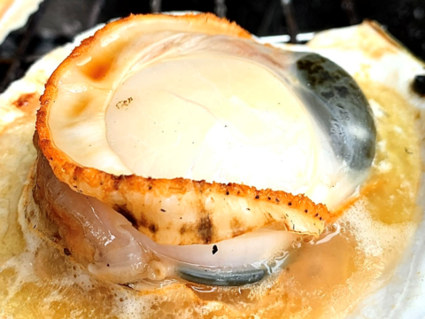 《数量限定20件!!》山六水産の２年貝【３kg】ヘラ付