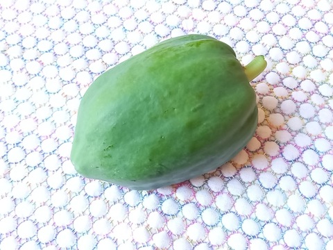 シャキシャキ食感がクセになる"間引き人参15本 "と"パパイヤ　2個"　from 名水の里　神奈川県秦野市