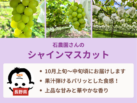 【売り切れ】 【限定200セット】ぶどう食べ比べ便　第3弾（食べチョク公式）