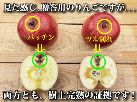 【毎年１万箱以上売れてます】約３キロ 青森県産りんご「樹上完熟葉とらずふじ」家庭用厳選品