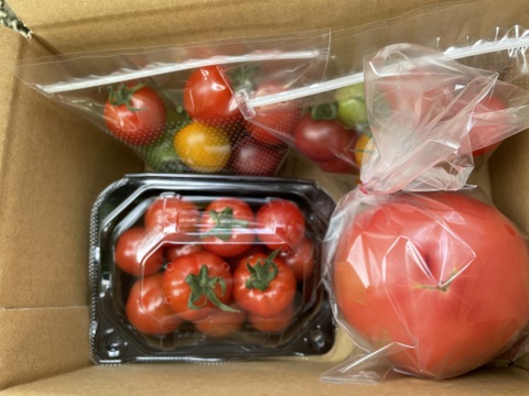 悩んだらコレっ！！植竹農園のトマトお試しセット（大玉・プチぷよ・カラフル）