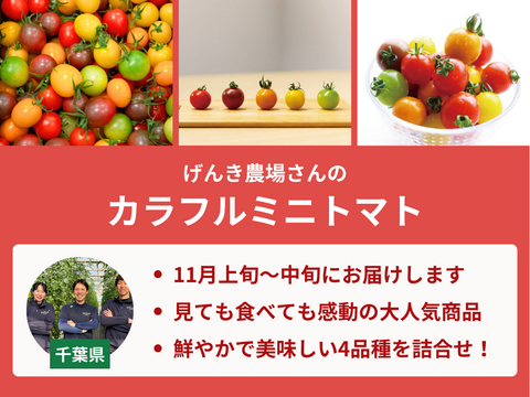 【販売終了】【限定200セット】トマト食べ比べ便（食べチョク公式）