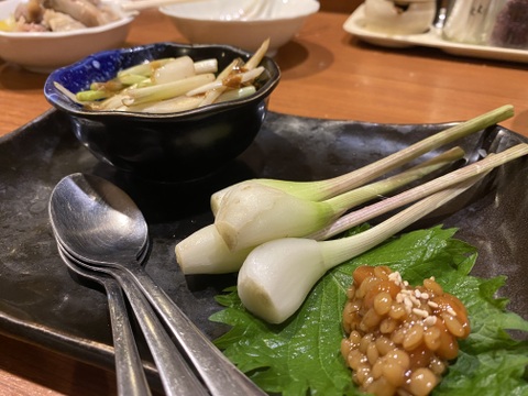 シャキシャキ！朝採れ島らっきょ2kg