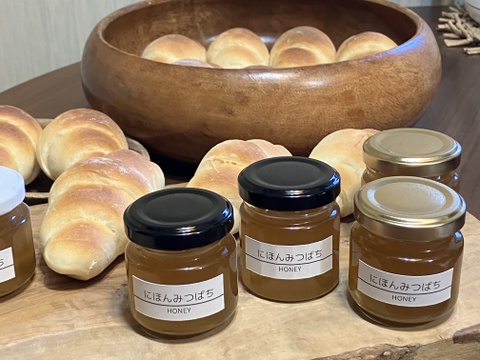 富士山麓の「にほんみつばち」HONEY 天然はちみつ 50g×2本セット