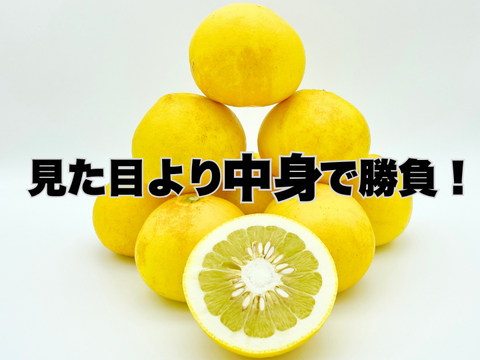 【完熟の証】低温貯蔵 土佐文旦 訳あり大玉5kg｜風味が際立つ食べ頃・日本ギフト大賞受賞・文旦発祥の地 ・高知県土佐市産 ・やの一果彩