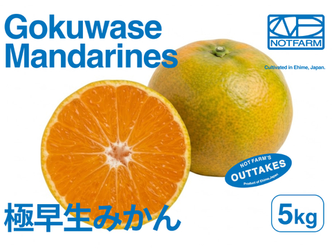【美味しさそのまま】訳あり愛媛みかん 5kg 極早生みかん Gokuwase Mikan