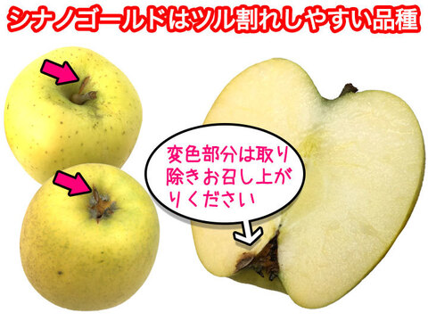 11月上旬より りんご 家庭用 シナノゴールド 約2キロ 5-10玉 復興支援 #shinanogold-b-2k