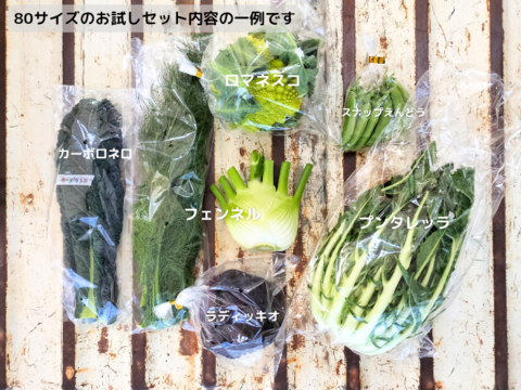 渥美半島産＊イタリア野菜セット/５品種以上