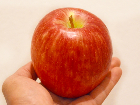 【2026年予約】『シナノドルチェ』 家庭用✨ 甘みと酸味の絶妙なバランス　5ｋｇ