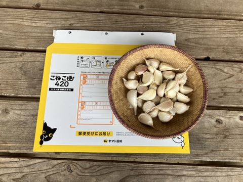 【メール便送料無料】自然栽培　にんにくばら　250ｇ