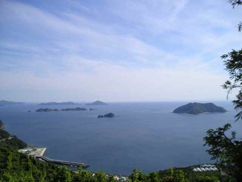 爽やか風味！濃厚な味わいヒメマル【はれひめ】家庭用・５Kg