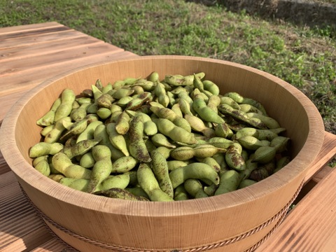 【本黒】丹波の黒枝豆　1Kg　(500g X 2袋)
