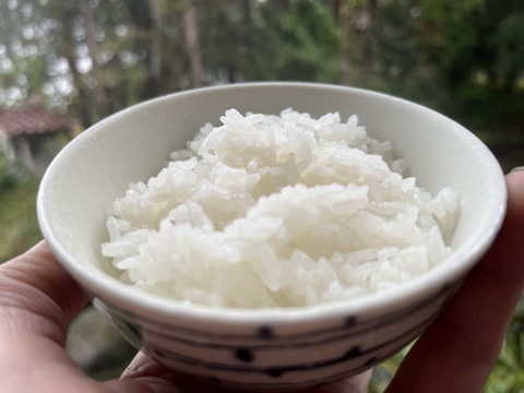 令和5年産　特別栽培米雪若丸精白米2kg