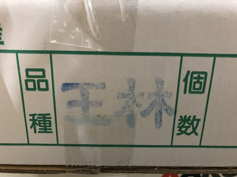 青森県産りんご「王林」家庭用 キズ有 約5kg×2箱【甘い】