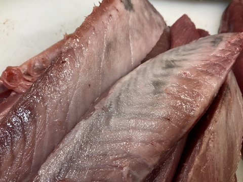 【秋の旨魚】迷いヒラソウダガツオ/特大/1.8㎏前後/半身/【冷凍】おススメです！！