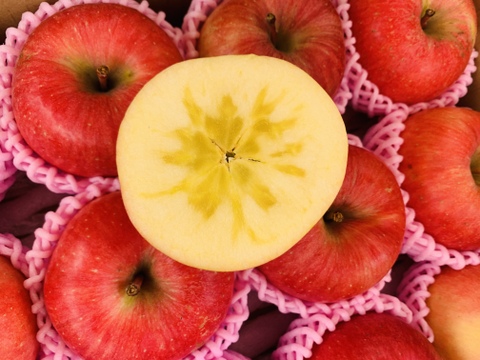 幻の蜜りんご‼️山形県産こうとく【秀3キロ】