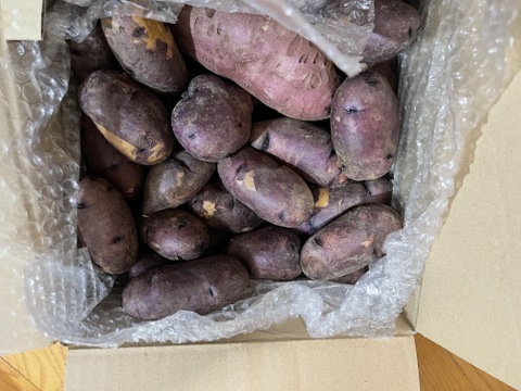 希少種ジャガイ　タワラマゼラン2.5kg深みのある甘みが特徴【新ジャガイモ】