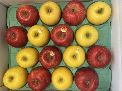 【予約販売】完熟　サンふじ＆シナノゴールドの詰め合わせセット 約5kg(13～20個)