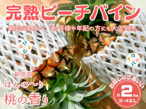 《早割特価》✨完熟ピーチパイン約２Kg(3〜4個入)✨　　　✨ほんの〜り桃の香りのする不思議なパイン✨世界自然遺産の島『西表島』より、産地直送でお届けします✨