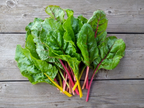 スイスチャード500g