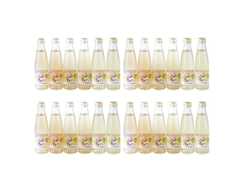 【アウトレット特別価格 30％OFF】和歌山フルーツサイダー(うめ)　24本セット　n14013-24