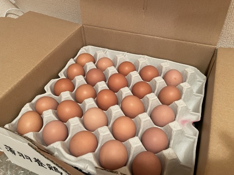★平飼い・初たまご50個★酵母を与えて育てた若鶏が産み出して間もない小ぶりなたまご（元気たまご）