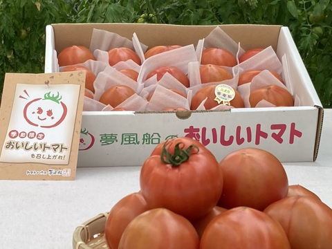 【フルーツトマトファンに】トマトハウス夢風船の高濃度フルーツトマト『おいしいトマト』（Lサイズ約２ｋｇ）