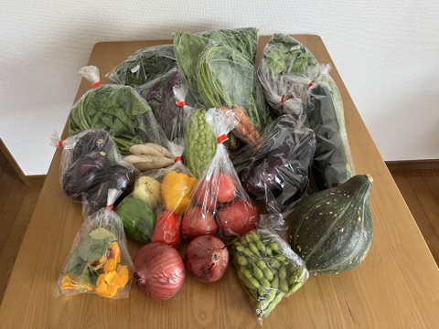 野菜セットL(栽培期間中農薬不使用)