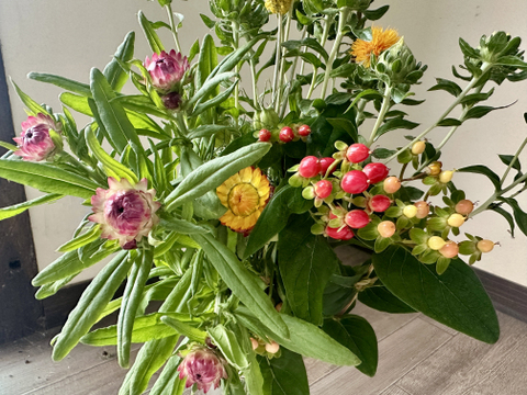 【長持ちシリーズ 〜暮らしを長く彩る花たち〜！20本】人気あり！花農家から直送！“長く寄り添う花束”です。生花として楽しんだ後は、そのままドライフラワーとしてもお楽しみいただけます。プレゼントOK!