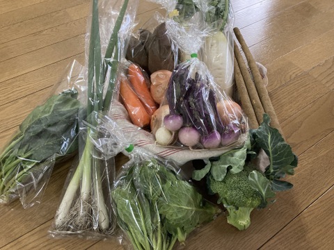 畑から直送! 野菜ソムリエ農家　旬のカラフル野菜セット(約7,8品目)