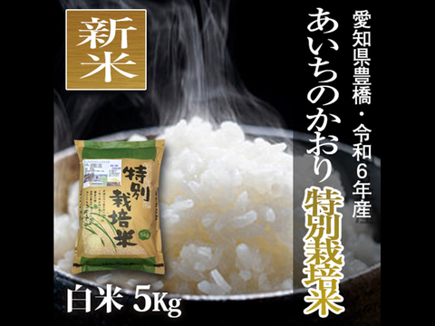 ★新米★【栽培期間中農薬不使用】あいちのかおり 白米5kg【令和6年・愛知県産】