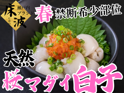 🐟禁断幻の大トロ白子🐟クリームを超えた旨味の宝庫超希少天然国産『桜真鯛大トロ白子』長州床波ブランド数量極少【4月上旬予約】