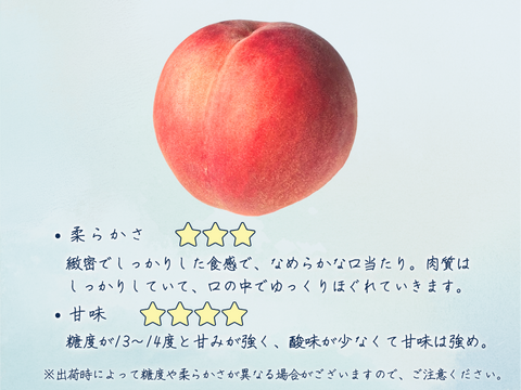 なつっこ４～６玉 ギフトボックス【2025年先行予約】【信州長野県産】※7月下旬発送開始