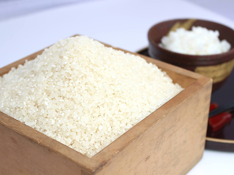 特別栽培米コシヒカリ白米5㎏