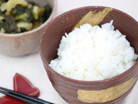 特別栽培米コシヒカリ白米5㎏
