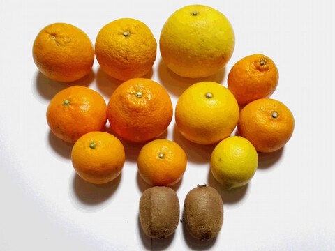 【有機JAS】良品＊旬のフルーツ詰め合わせ(4kg)