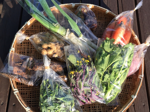 富士山麓、自然栽培冬野菜（５～６品）＋手前味噌（500g）+白米（２kg)