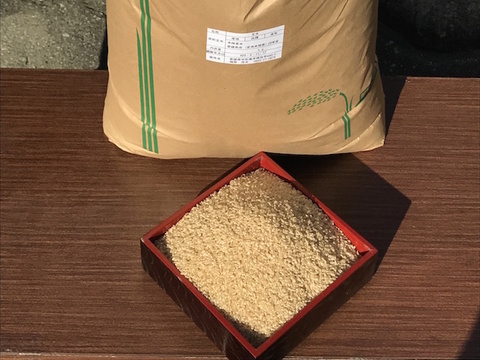令和5年産・新米【玄米】自家採種のみで育ったお米 20kg