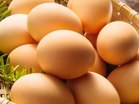 【湘南】卵ソムリエの放し飼い有精卵１０個と旬の無農薬野菜３種のセット