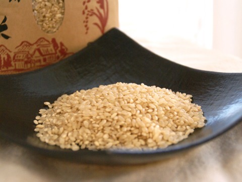特別栽培米コシヒカリ玄米5㎏